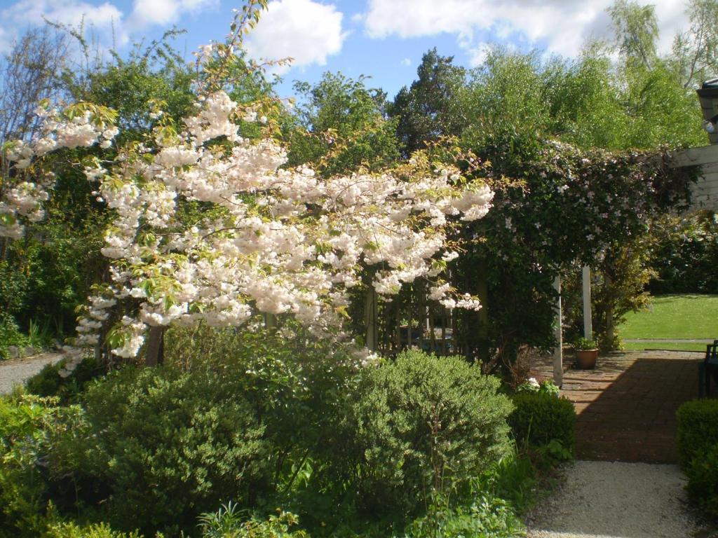 Harrogate Gardens Motel Hanmer Springs Room photo